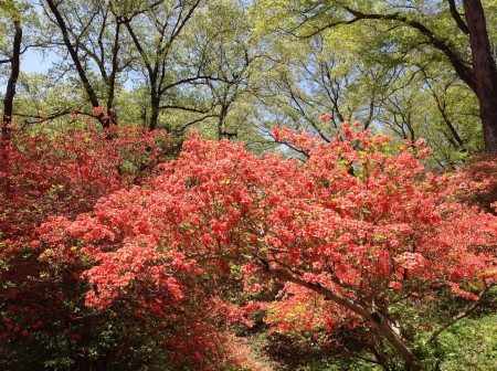 埼玉県二本木峠